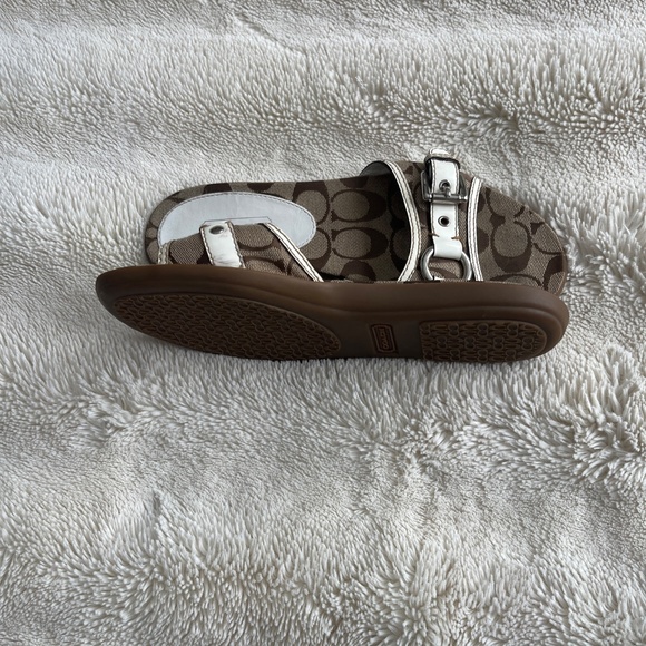 Coach slides - Picture 3 of 3